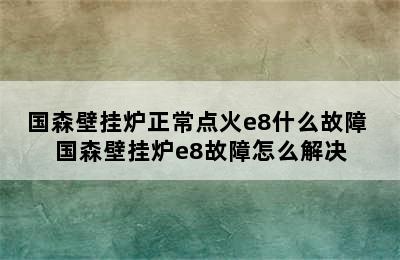 国森壁挂炉正常点火e8什么故障 国森壁挂炉e8故障怎么解决